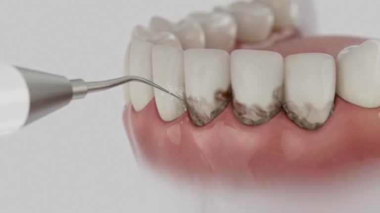 Reliable Dental contractor in Corry, PA by Dentist Open Now